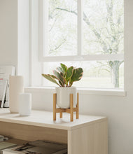 Load image into Gallery viewer, Cotton White stand:walnut