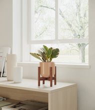 Load image into Gallery viewer, Glossy Pink stand:walnut