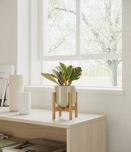 Load image into Gallery viewer, Sage Green stand:bamboo