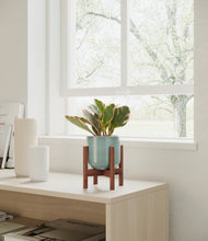 Load image into Gallery viewer, Reactive Aqua stand:walnut