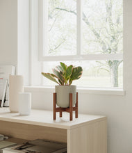 Load image into Gallery viewer, Sage Green stand:walnut
