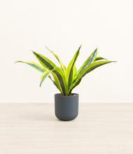 Load image into Gallery viewer, Iron Gray*****Profile