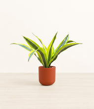 Load image into Gallery viewer, Earth Red*****Profile