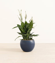 Load image into Gallery viewer, Deep Navy*****Profile
