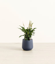 Load image into Gallery viewer, Deep Navy*****Profile