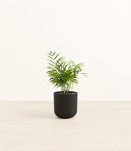 Load image into Gallery viewer, Stone Black*****Profile