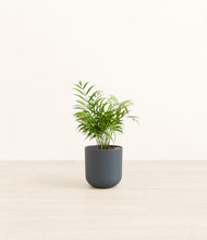 Load image into Gallery viewer, Iron Gray*****Profile