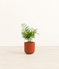 Load image into Gallery viewer, Earth Red*****Profile