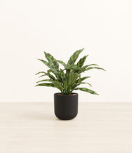 Load image into Gallery viewer, Stone Black*****Profile