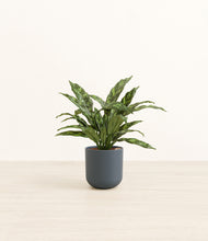 Load image into Gallery viewer, Iron Gray*****Profile