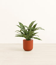 Load image into Gallery viewer, Earth Red*****Profile