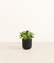 Load image into Gallery viewer, Stone Black*****Profile