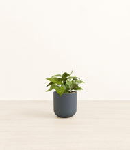 Load image into Gallery viewer, Iron Gray*****Profile