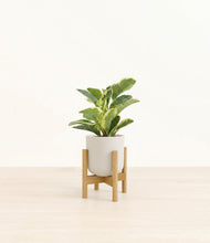 Load image into Gallery viewer, Natural Bamboo stand:bamboo