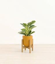 Load image into Gallery viewer, Sunset Orange stand:bamboo
