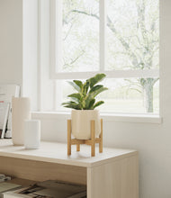Load image into Gallery viewer, Almond Green stand:bamboo