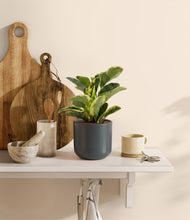 Load image into Gallery viewer, Iron Gray
