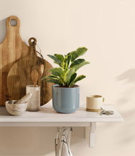 Load image into Gallery viewer, Misty Blue