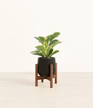 Load image into Gallery viewer, Black stand:walnut