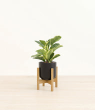 Load image into Gallery viewer, Stone Black stand:bamboo