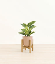 Load image into Gallery viewer, Glossy Pink stand:bamboo