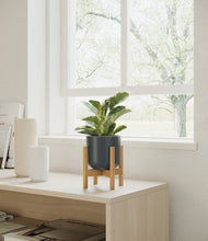 Load image into Gallery viewer, Iron Gray stand:walnut