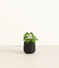 Load image into Gallery viewer, Black*****Profile