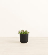 Load image into Gallery viewer, Stone Black*****Profile