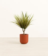 Load image into Gallery viewer, Earth Red*****Profile