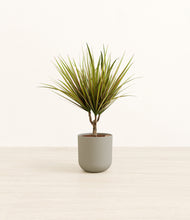 Load image into Gallery viewer, Sage Green*****Profile