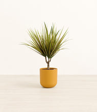 Load image into Gallery viewer, Sunset Orange*****Profile