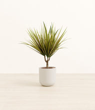 Load image into Gallery viewer, Natural Bamboo*****Profile