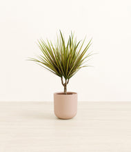 Load image into Gallery viewer, Sandy Pink*****Profile