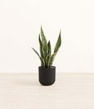 Load image into Gallery viewer, Stone Black*****Profile