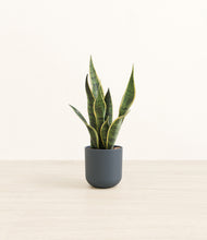 Load image into Gallery viewer, Iron Gray*****Profile