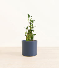 Load image into Gallery viewer, Deep Navy*****Profile