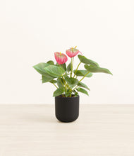 Load image into Gallery viewer, Stone Black*****Profile