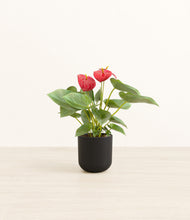 Load image into Gallery viewer, Stone Black*****Profile