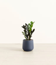 Load image into Gallery viewer, Deep Navy*****Profile