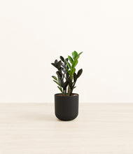Load image into Gallery viewer, Stone Black*****Profile