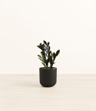 Load image into Gallery viewer, Stone Black*****Profile