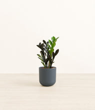 Load image into Gallery viewer, Iron Gray*****Profile
