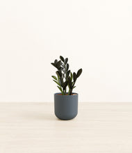 Load image into Gallery viewer, Iron Gray*****Profile