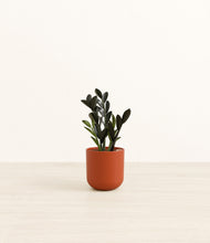 Load image into Gallery viewer, Earth Red*****Profile