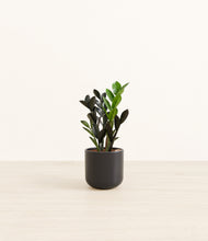 Load image into Gallery viewer, Stone Black*****Profile