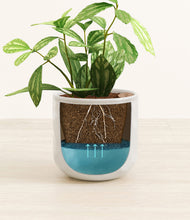 Load image into Gallery viewer, Hammered Ivory