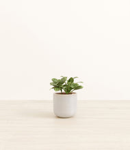 Load image into Gallery viewer, Snowdrift White*****Profile