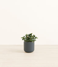 Load image into Gallery viewer, Iron Gray*****Profile