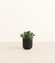 Load image into Gallery viewer, Stone Black*****Profile