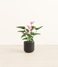 Load image into Gallery viewer, Stone Black*****Profile